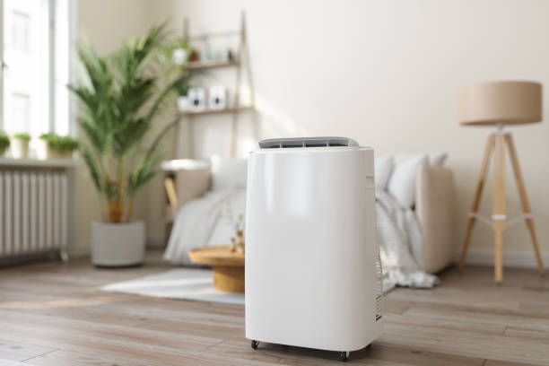 Best Ductless Mini-Split Systems in Bodfish, CA